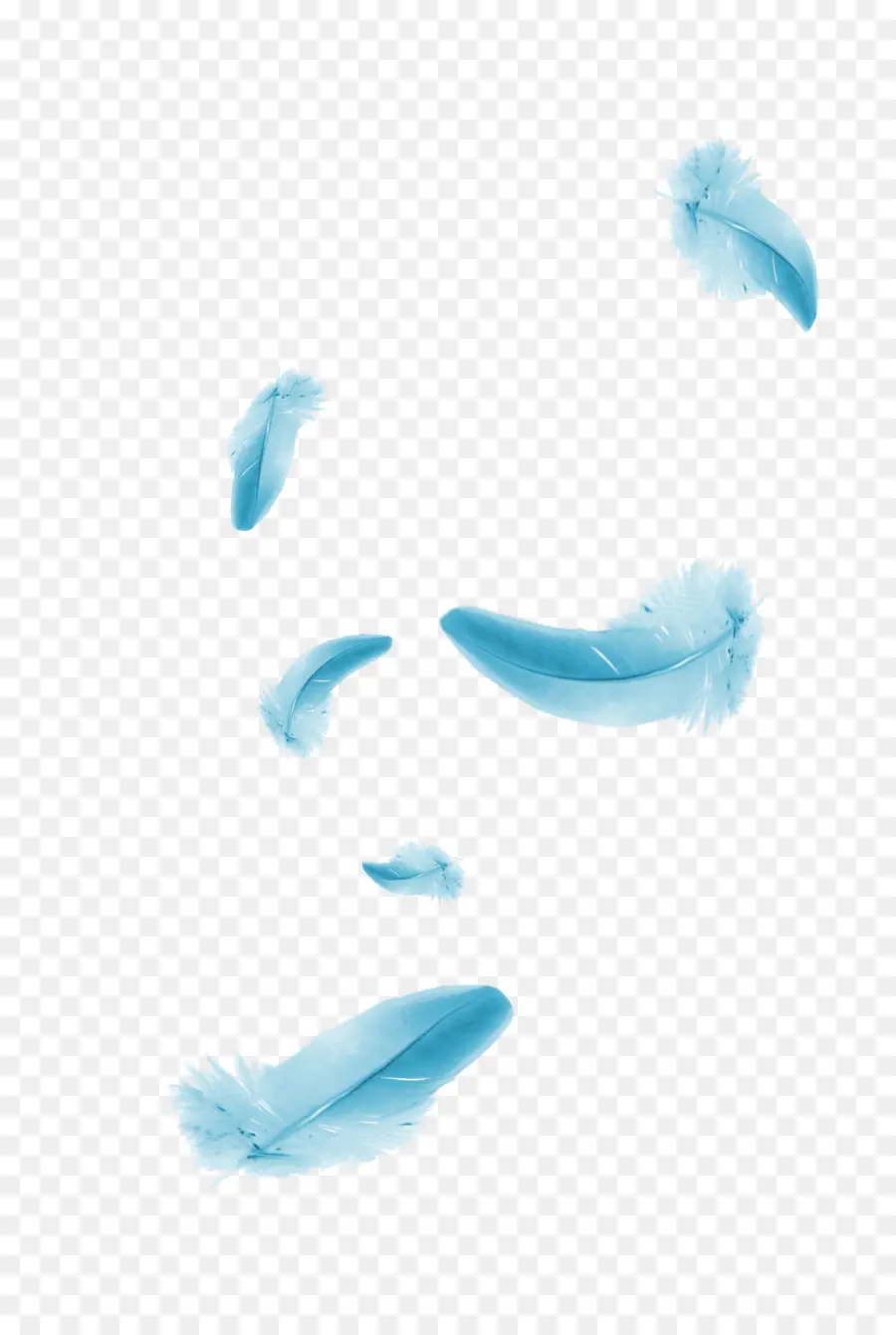 Plumes Bleues，Flottant PNG