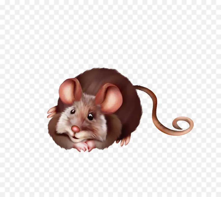 Souris Mignonne，Rongeur PNG