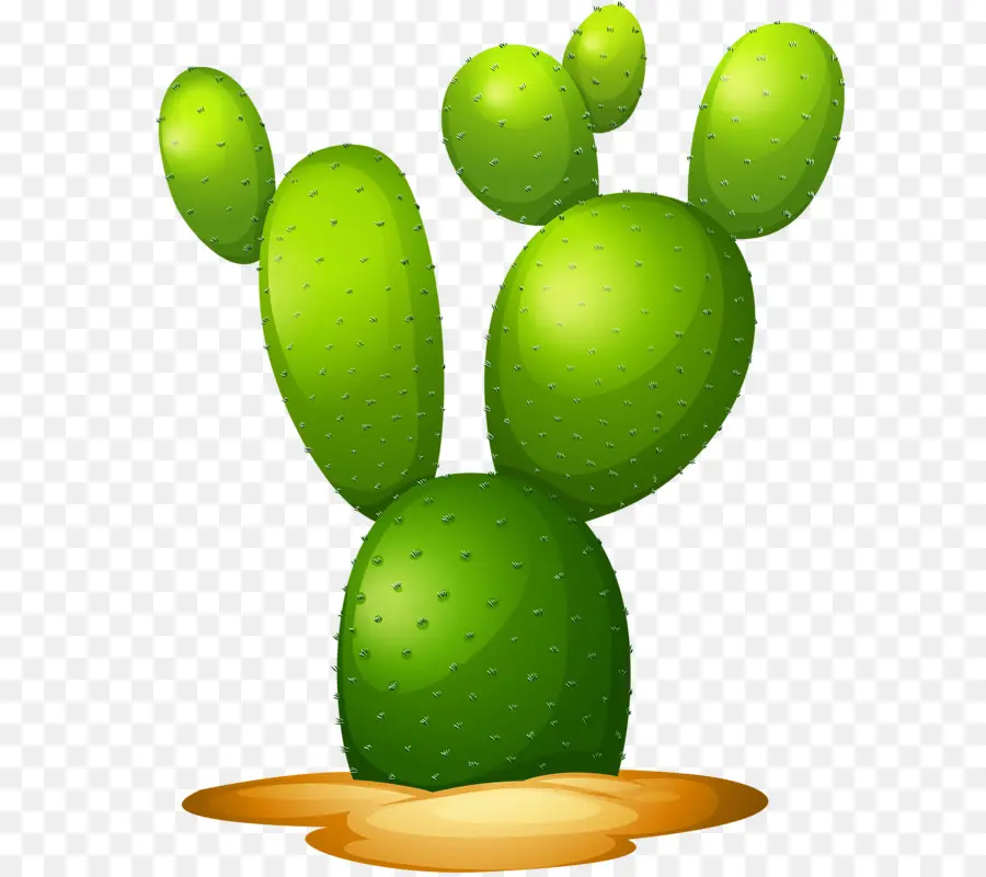 Cactus，Vert PNG