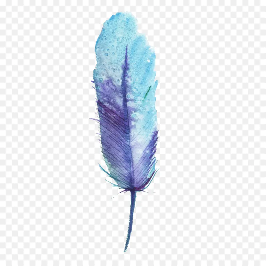 Plume Aquarelle，Peinture PNG