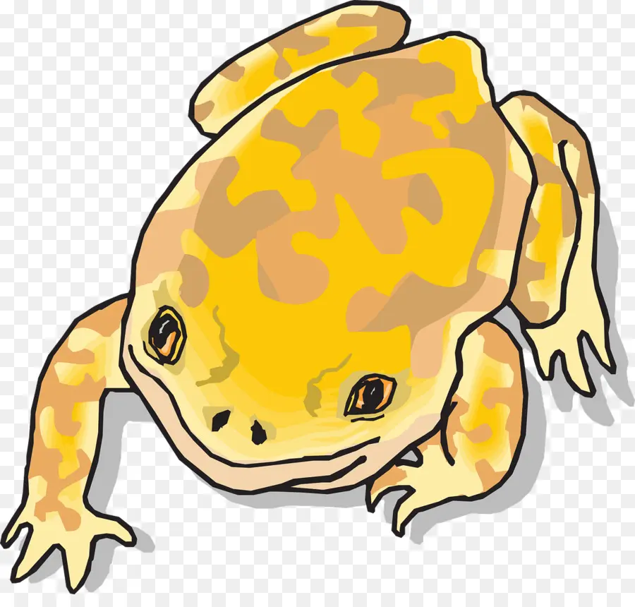 Grenouille，Jaune PNG