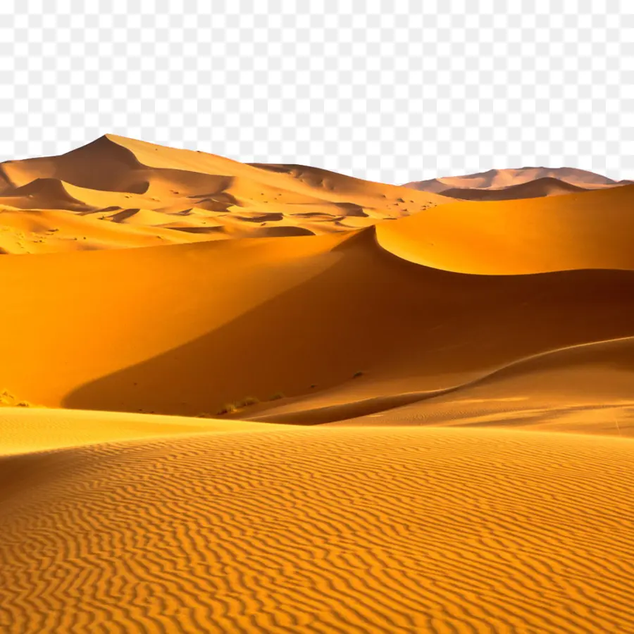 Sahara，Désert D Arabie PNG