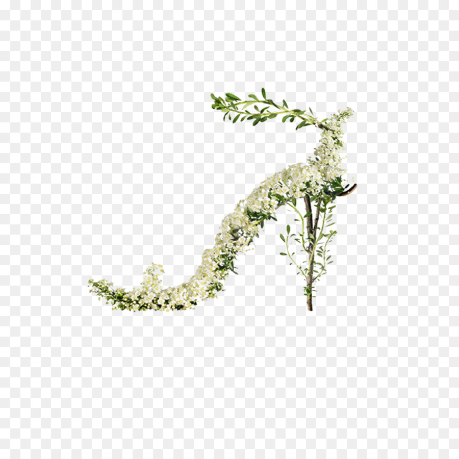 Talon Haut，Fleurs PNG