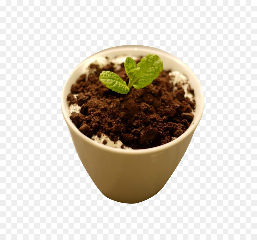 Plante En Tasse，Tasse PNG