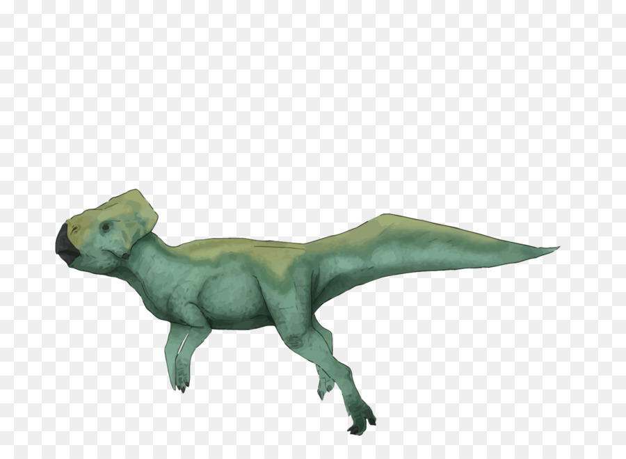 Vélociraptor，Graciliceratops PNG
