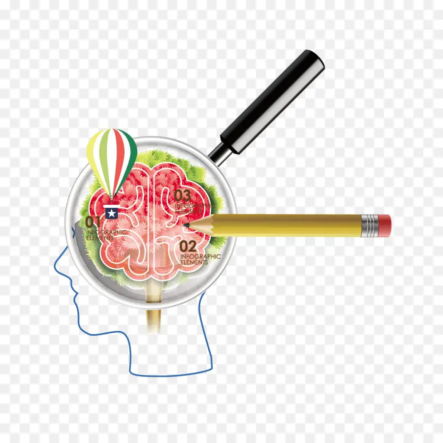 Illustration Du Cerveau，Loupe PNG