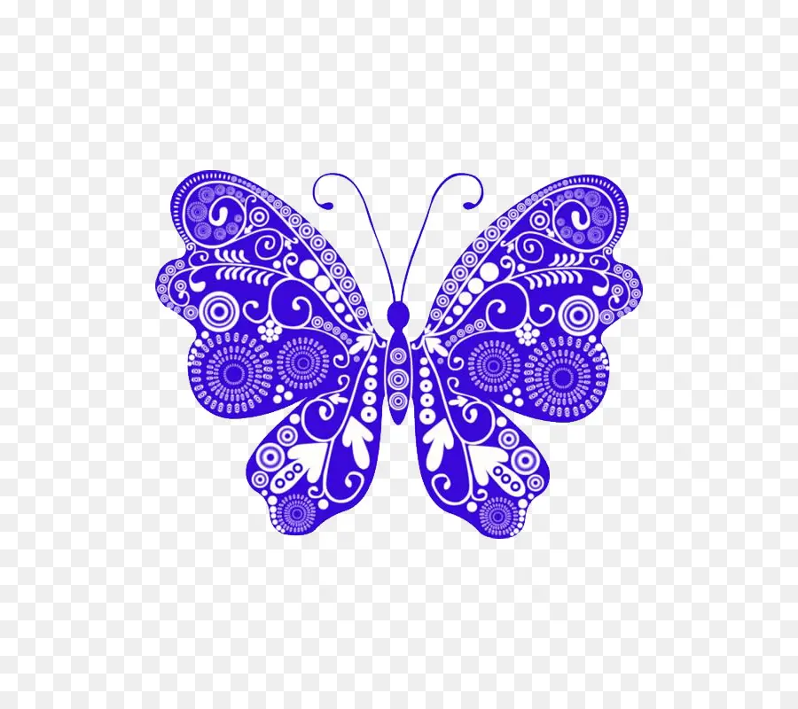 Papillon Violet，Ailes PNG