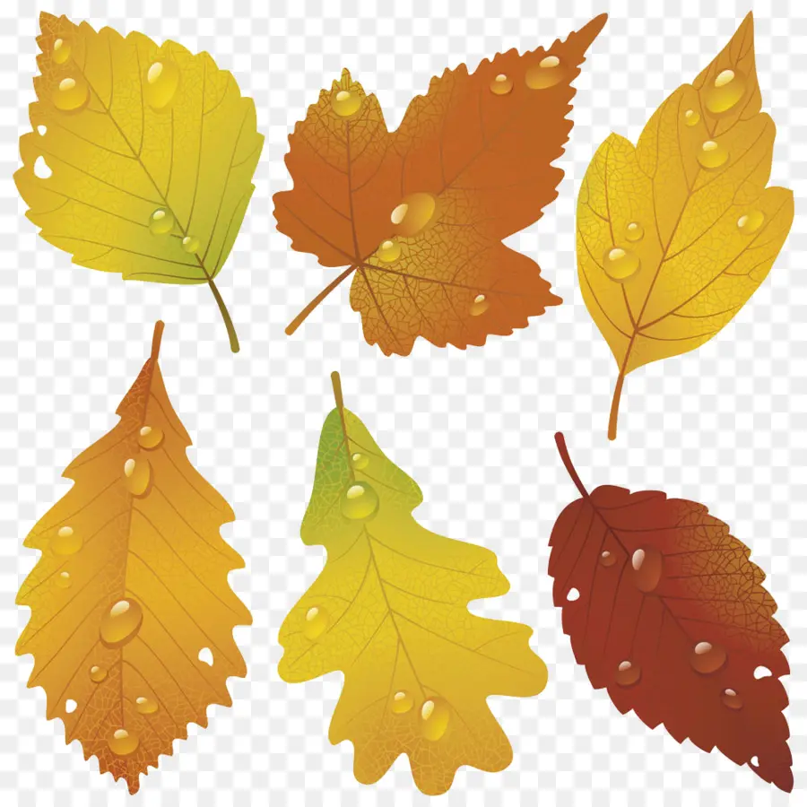 Feuilles D'automne，Automne PNG