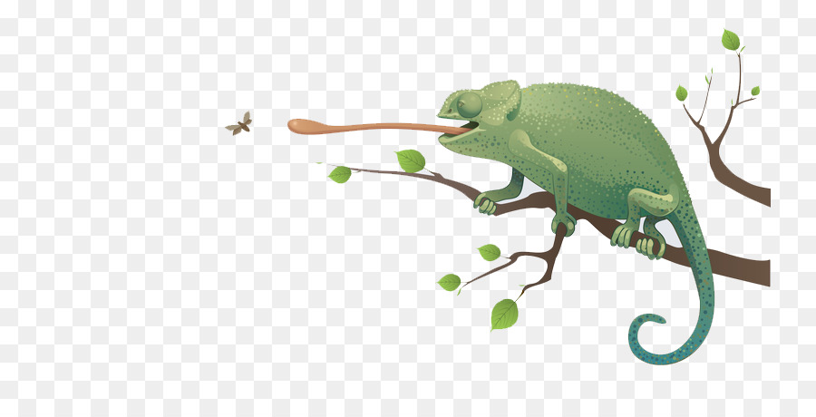 Caméléon，Bifurquer PNG