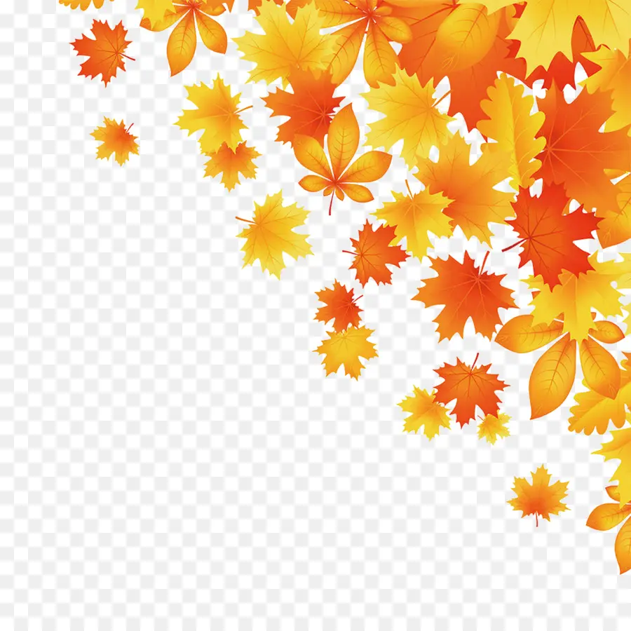 Feuilles D'érable，Automne PNG