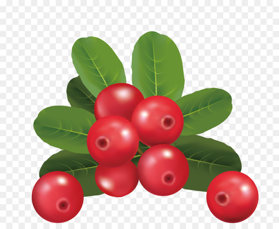 Fruits Rouges，Feuilles PNG