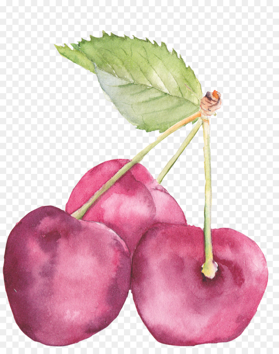 Gâteau De Cerise，Cerise PNG