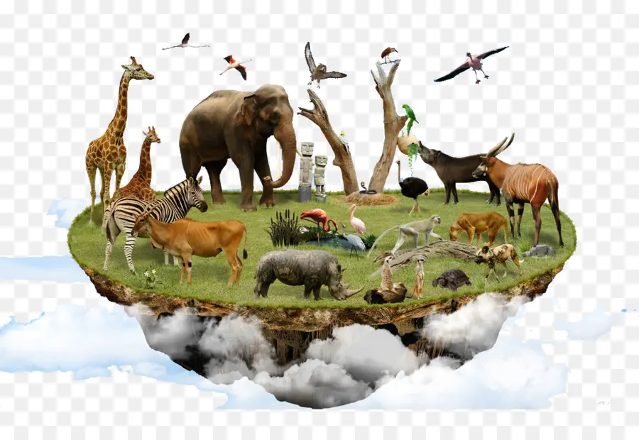 Île Flottante Avec Animaux，Girafe PNG