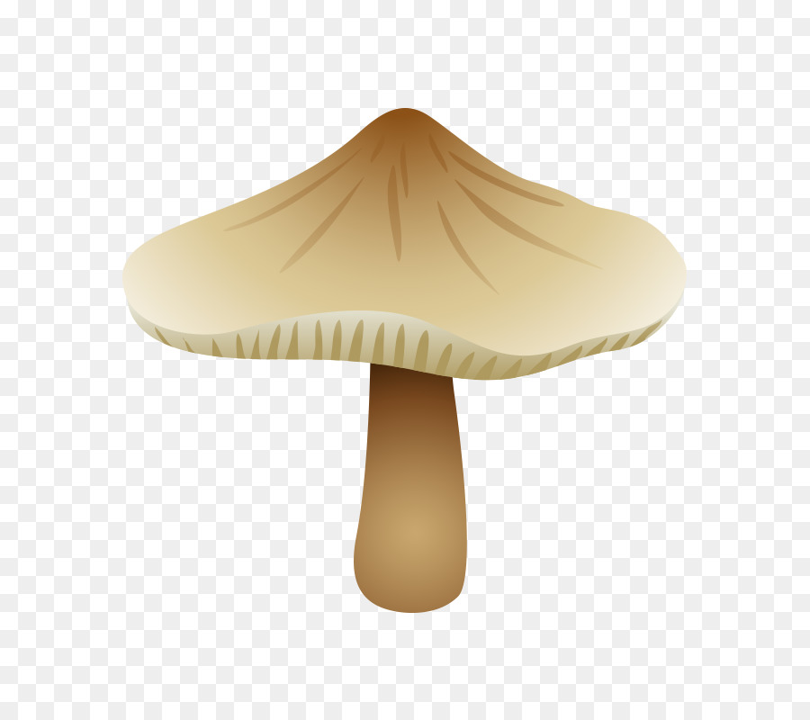 Champignons，Légume PNG