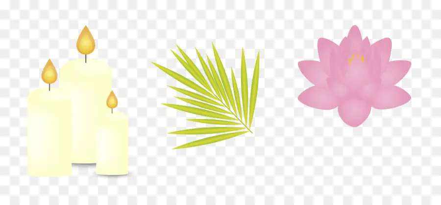 Bougies Et Fleurs，Palme PNG