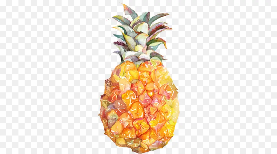 Ananas，Tropical PNG