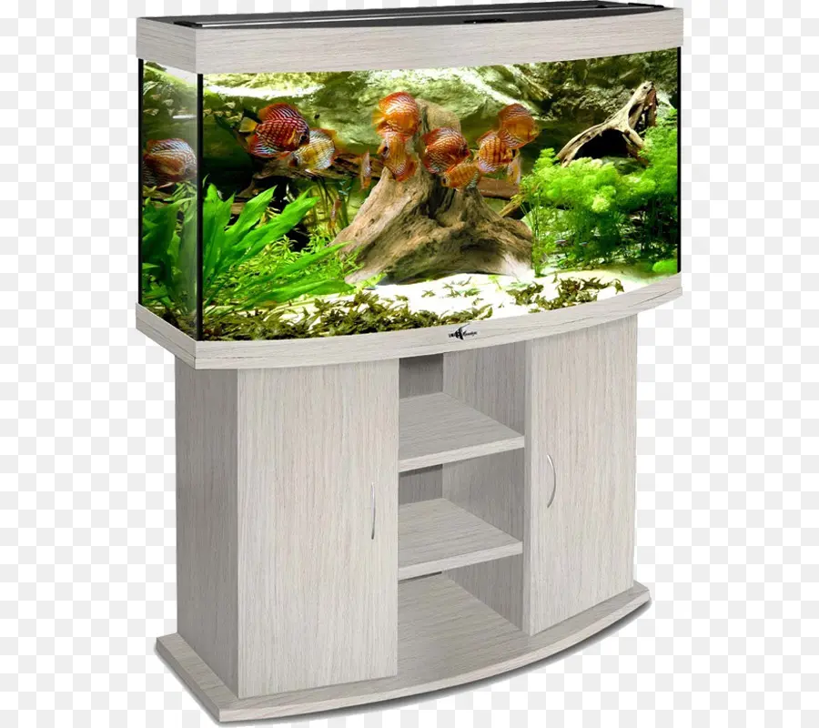 Aquarium，Terrarium PNG