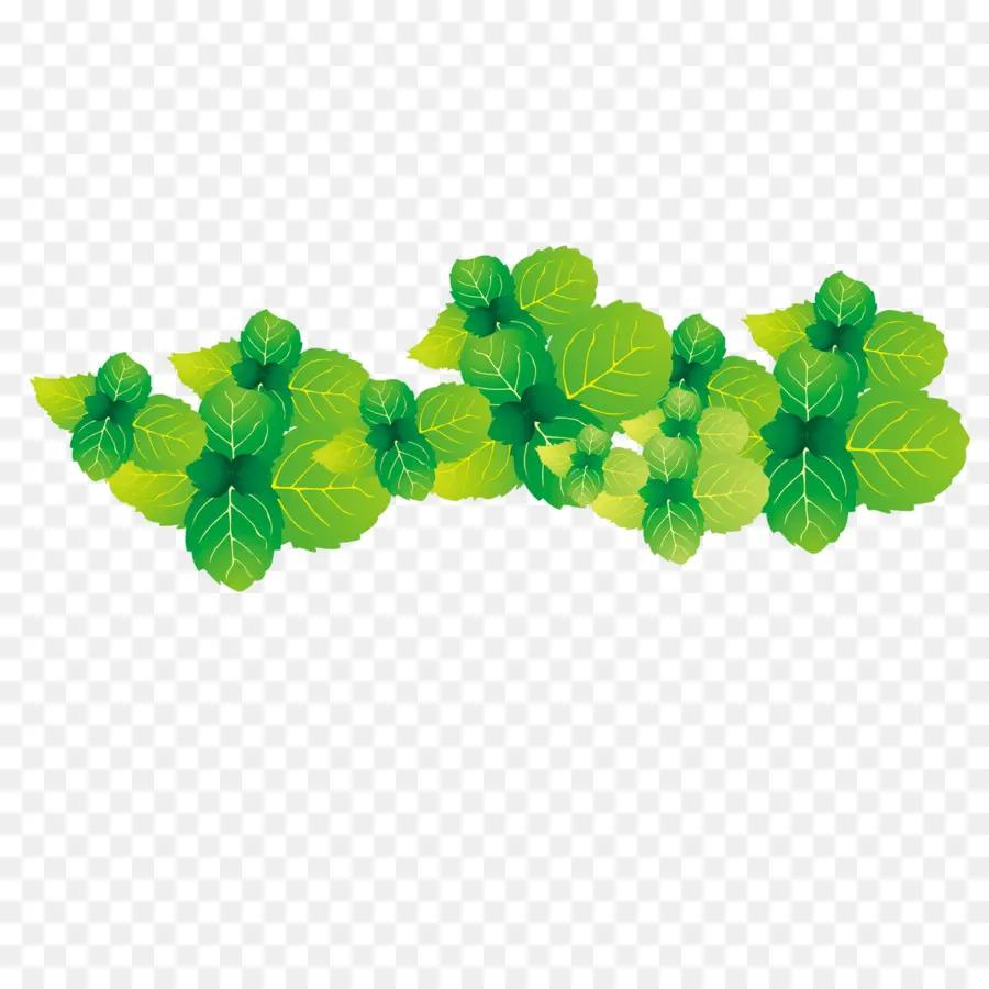 Feuilles De Menthe，Vert PNG