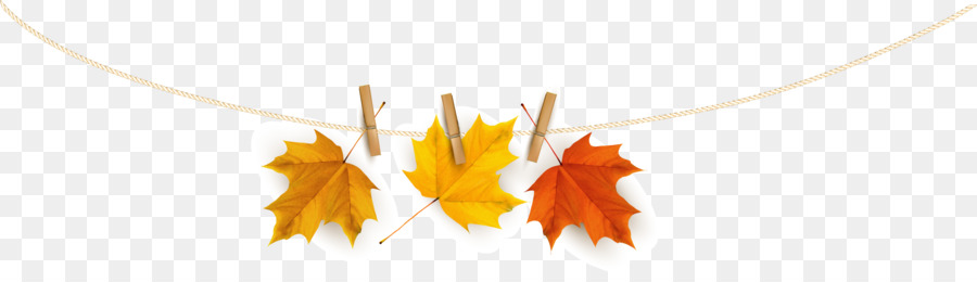 Feuilles D'automne，Coloré PNG