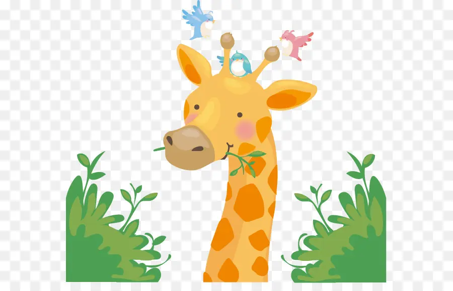 Girafe，Long Cou PNG