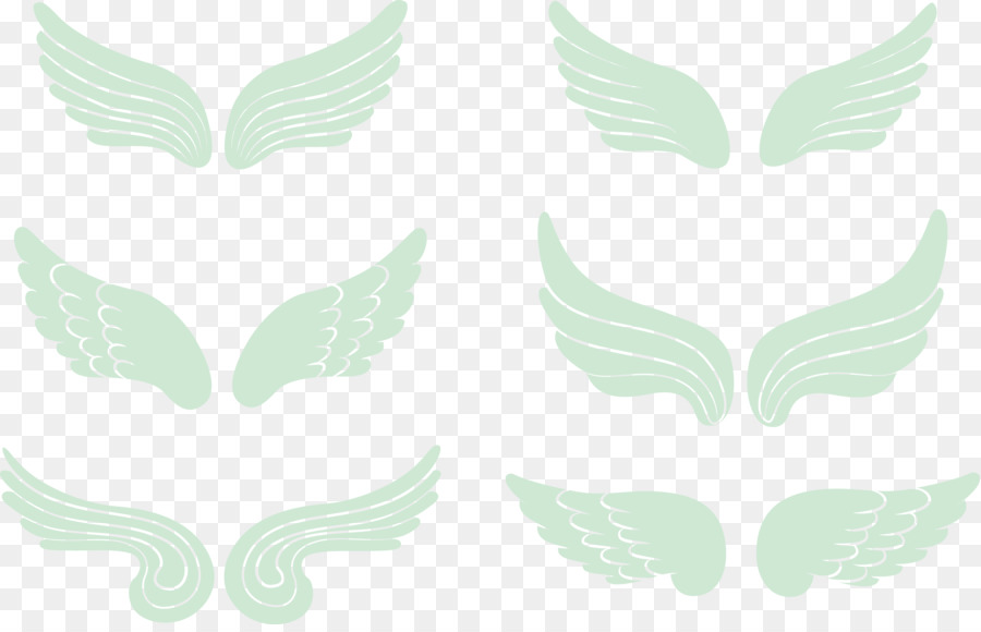 Ailes，Plumes PNG