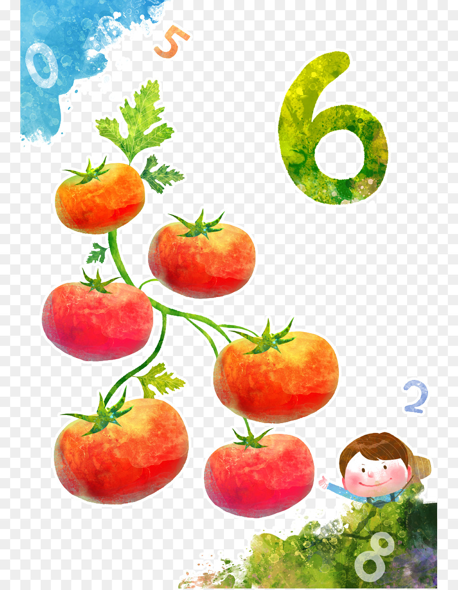 Tomates，Vigne PNG