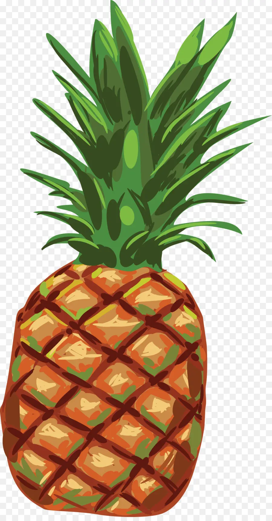 Ananas，Tropical PNG