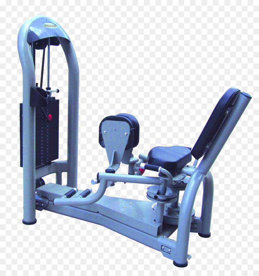 Musculation，équipement D Exercice PNG