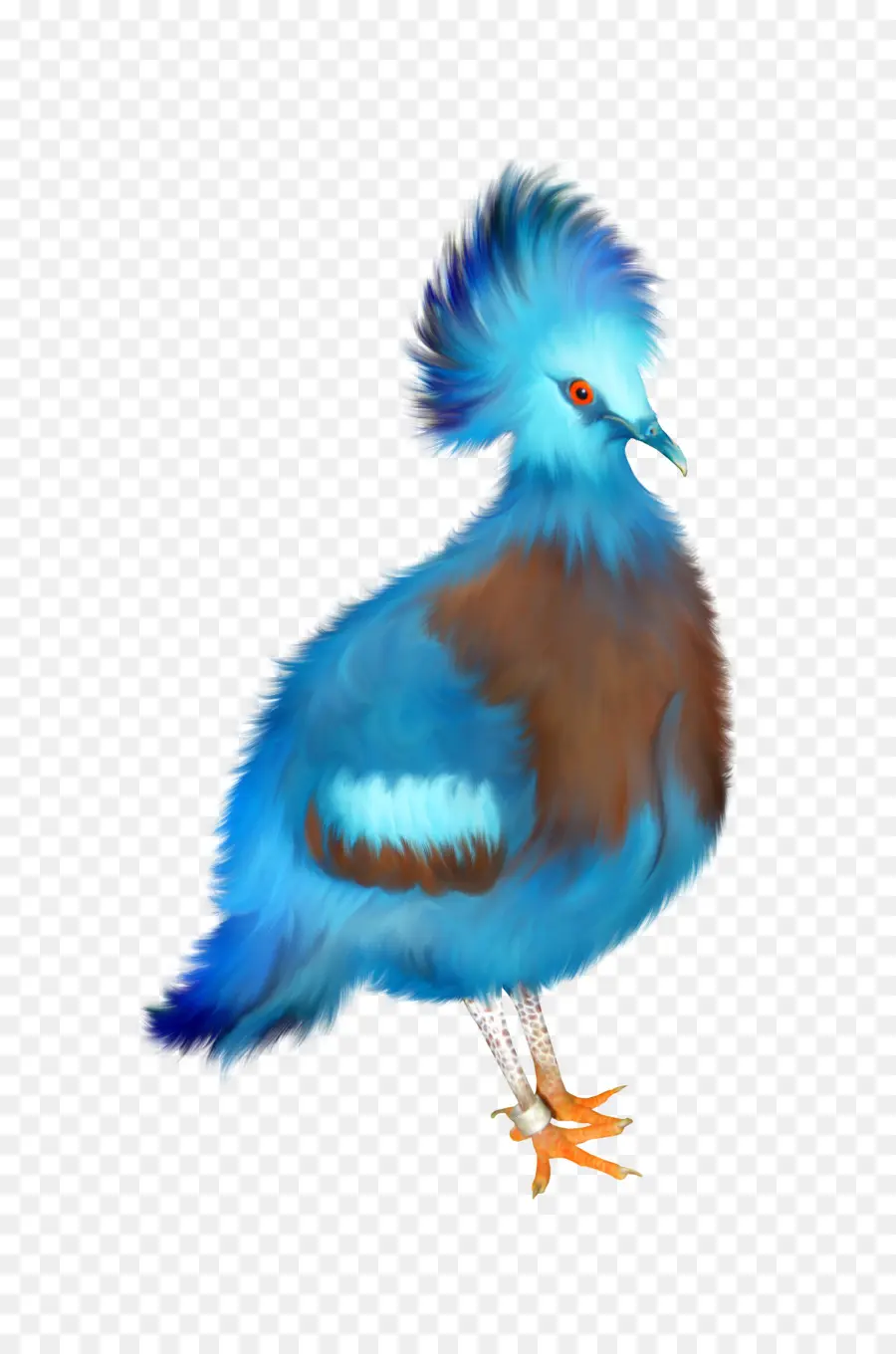 Oiseau Bleu，Plumes PNG