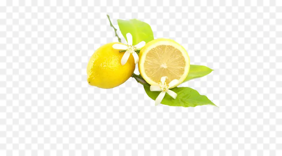 Citron，Tranche PNG