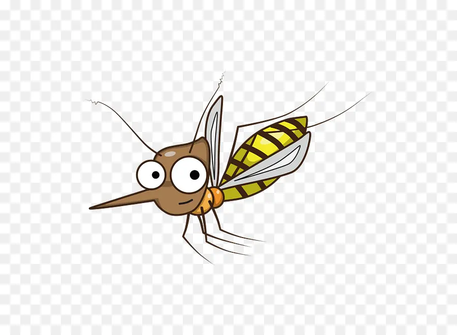 Moustique，Insecte PNG
