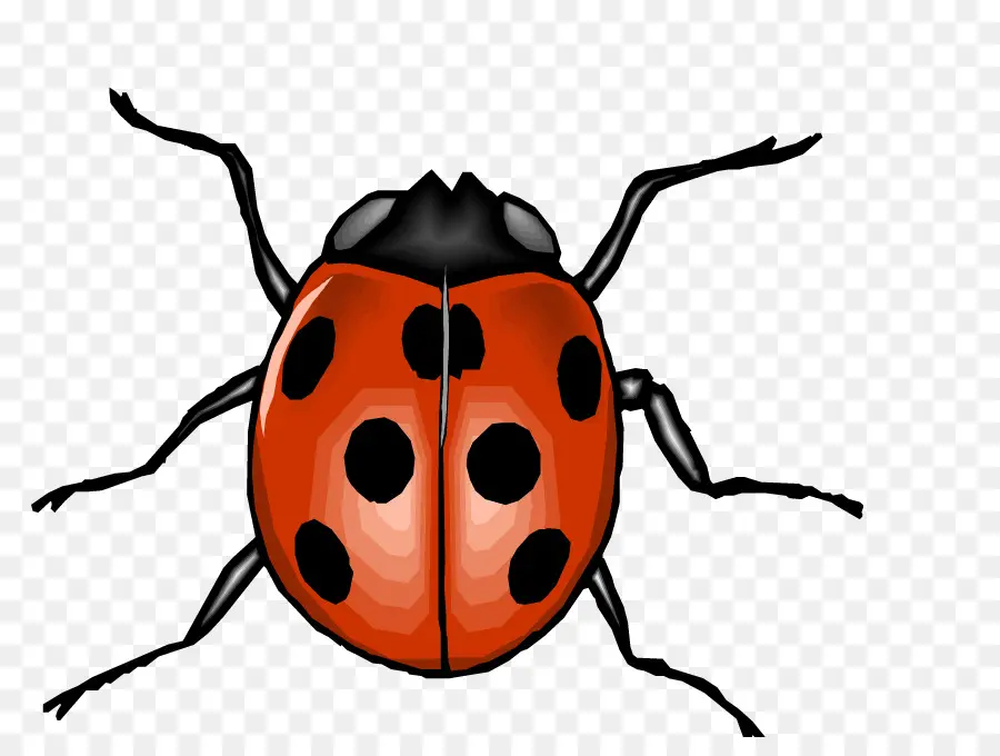 Triste Coccinelle，Rouge PNG