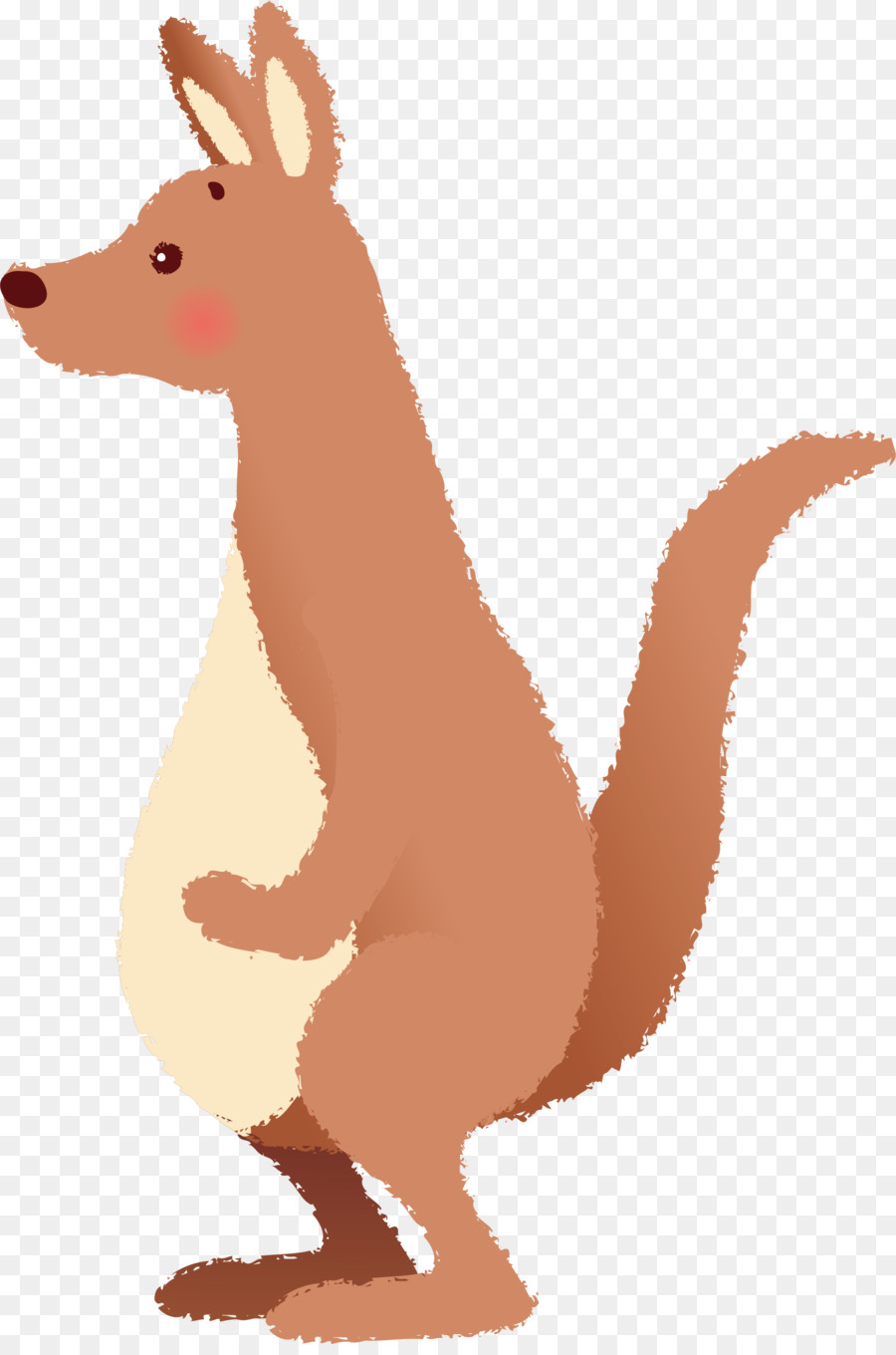 Kangourou De Dessin Animé，Marsupial PNG