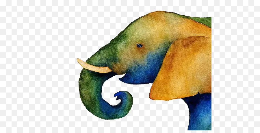 Éléphant Coloré，Aquarelle PNG