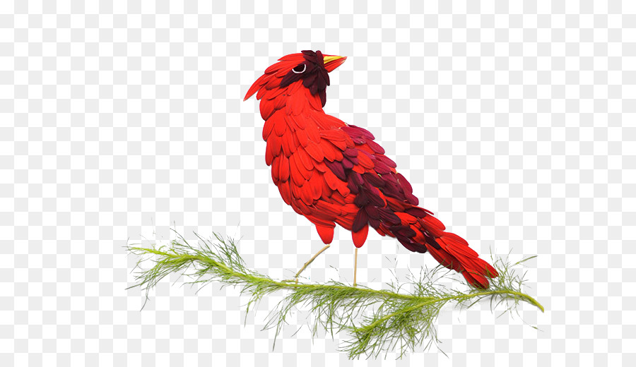 Oiseau Rouge，Plumes PNG