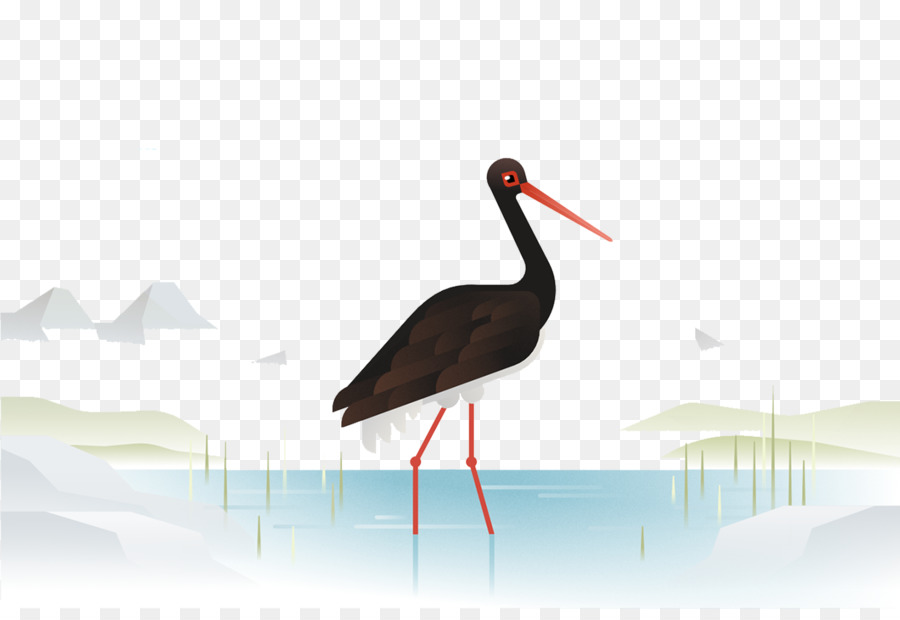 Cigogne Noire，Eau PNG