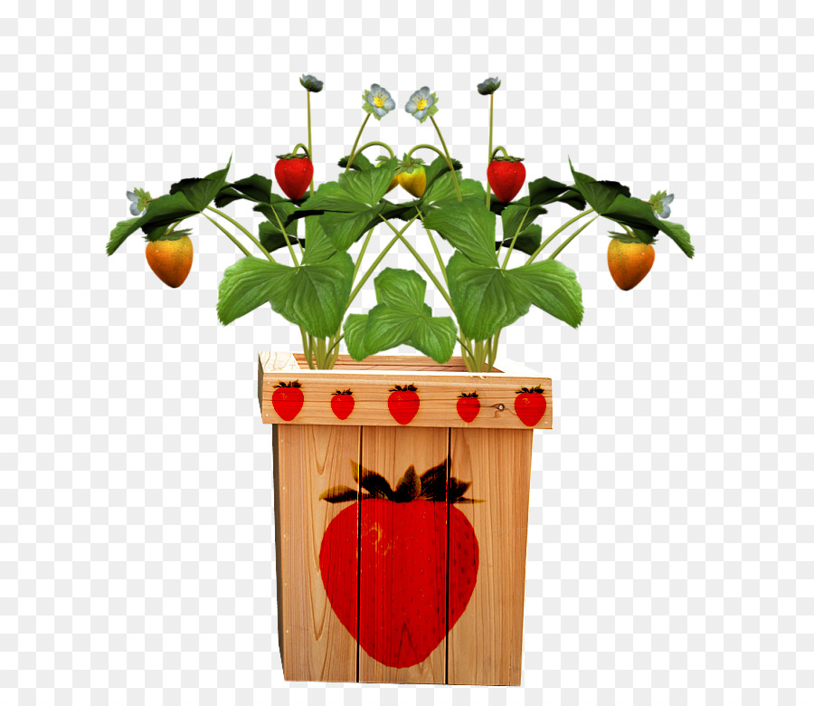 Pot De Fruits，Fruit PNG