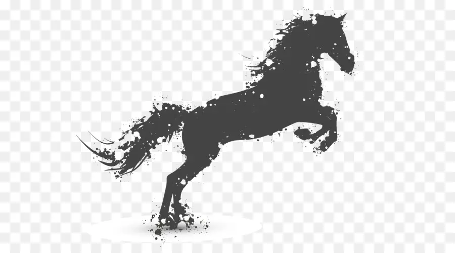 Silhouette De Cheval，équidé PNG