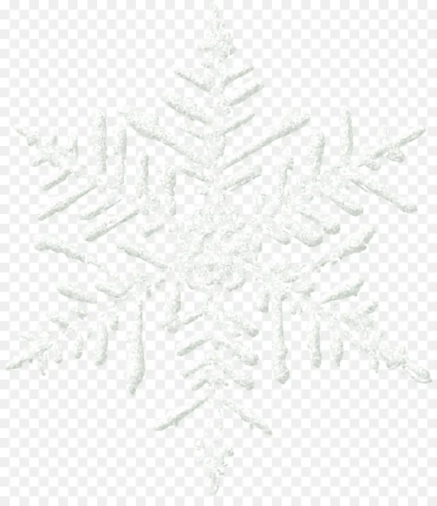 Flocon De Neige，Blanc PNG