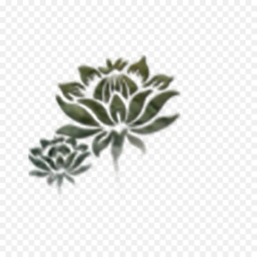 Fleurs De Lotus，Fleur PNG