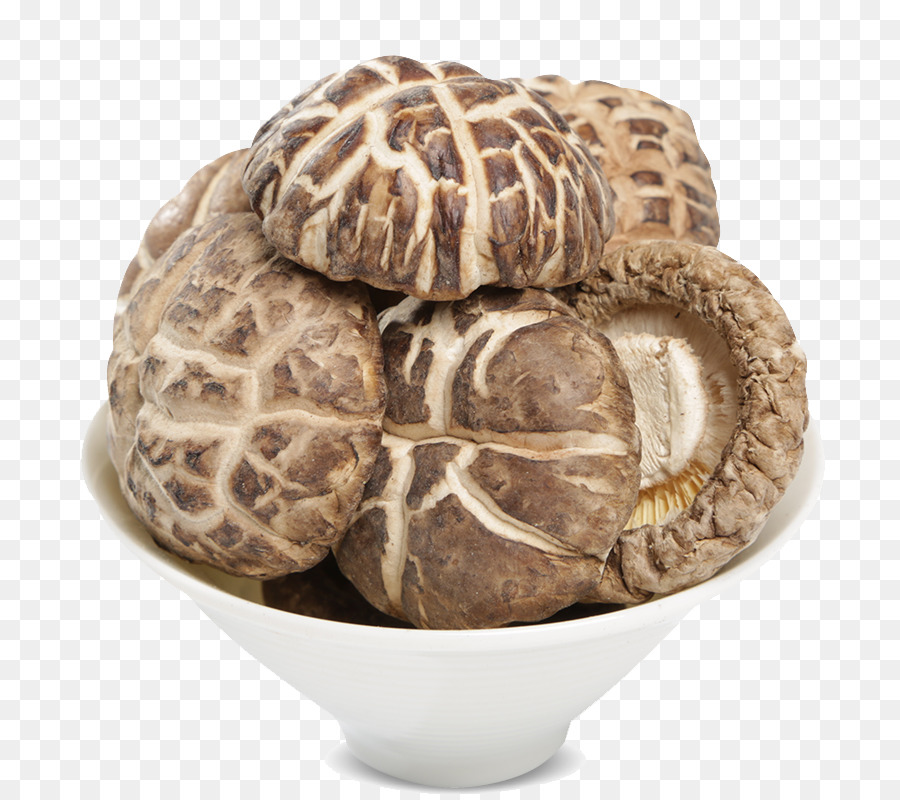 Gutian Comté，Shiitake PNG