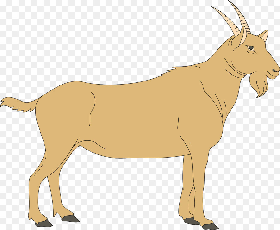 Vache De Dessin Animé，Cornes PNG