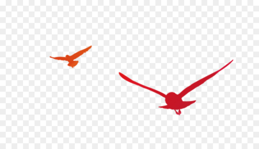 Oiseau Orange，Vol PNG