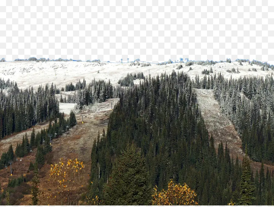 Montagne Enneigée，Neigeux PNG