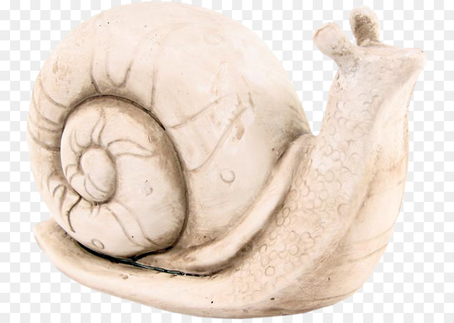 Escargot，Orthogastropoda PNG