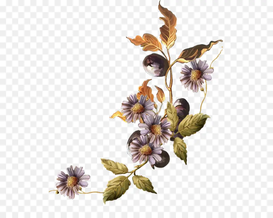 Fleurs，Décoratif PNG