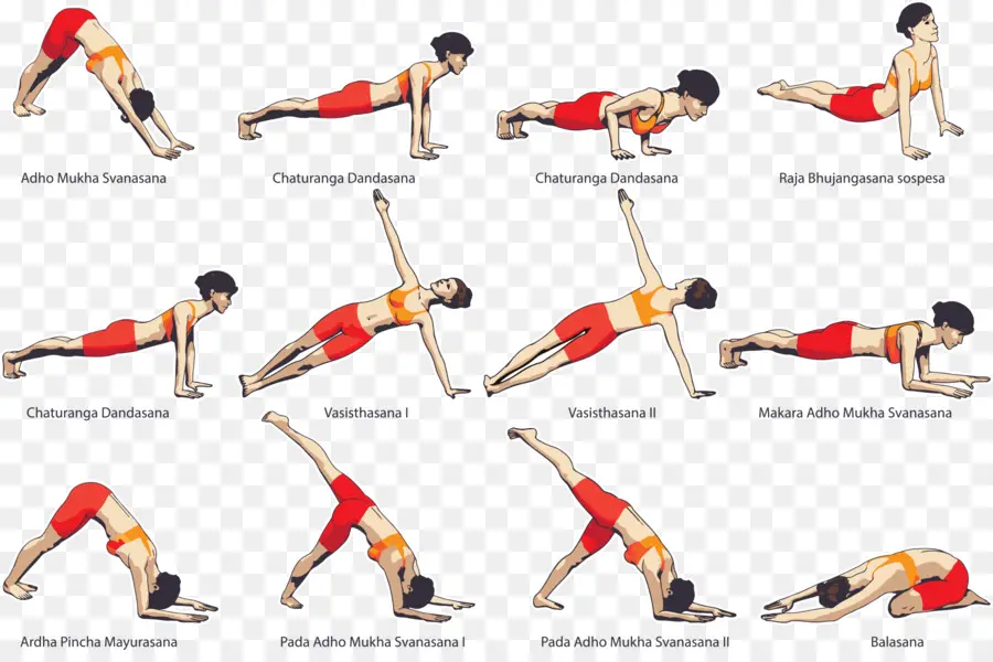 Yoga，Exercice Physique PNG