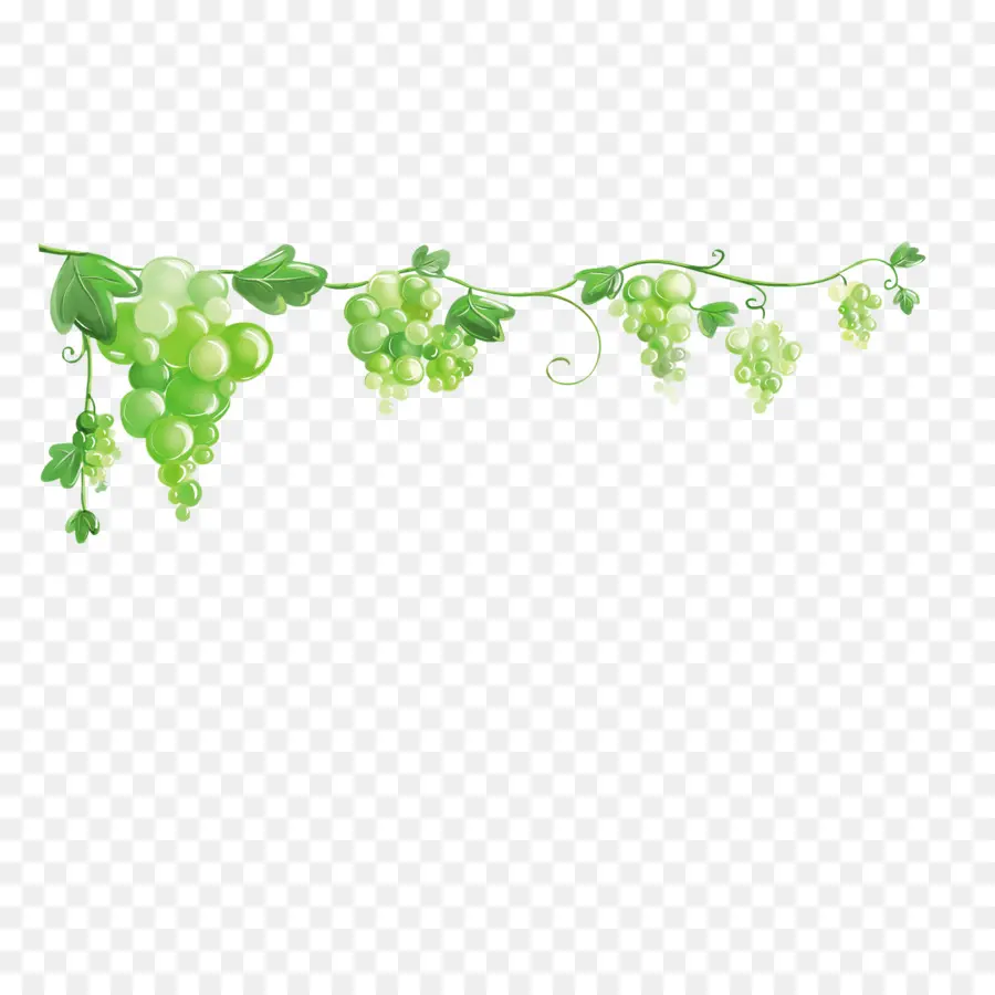 Vigne，Vert PNG