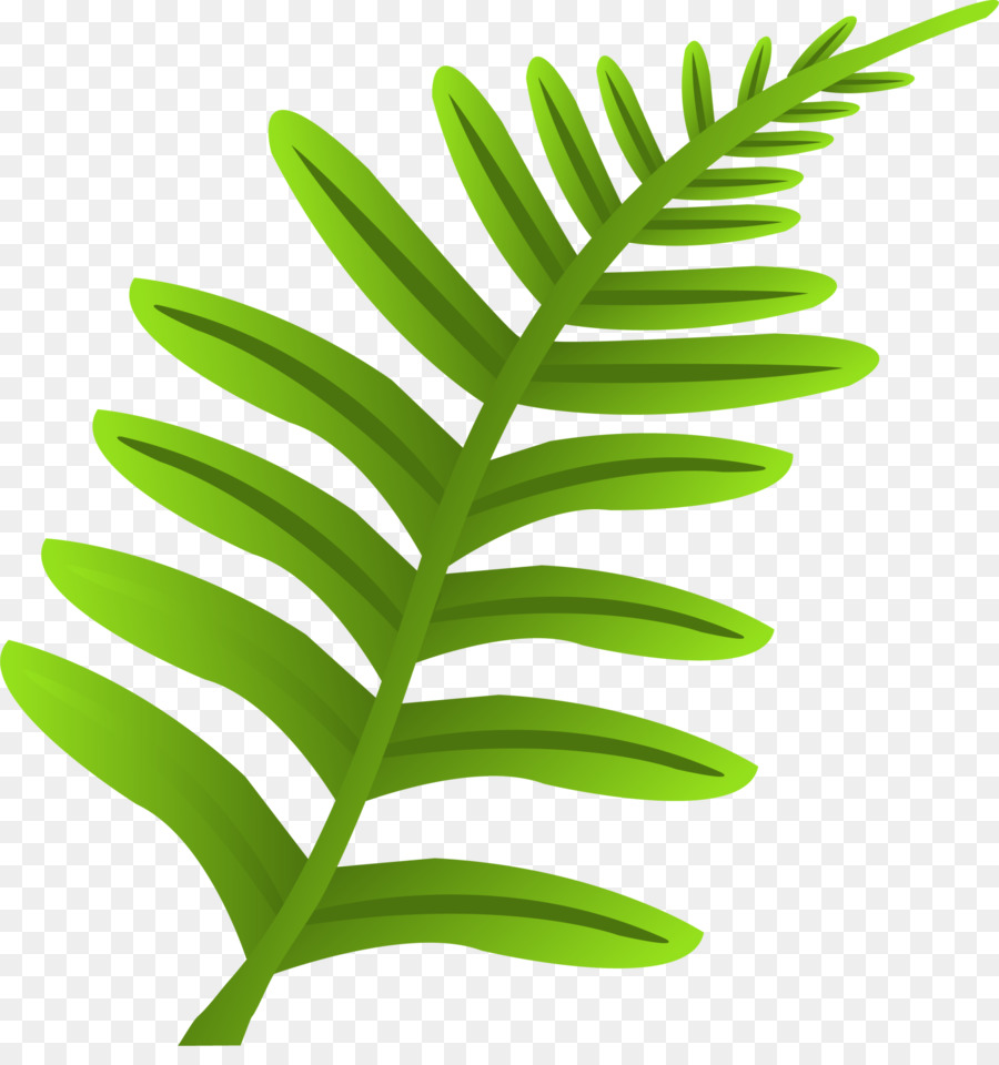 Feuille Verte，Nature PNG