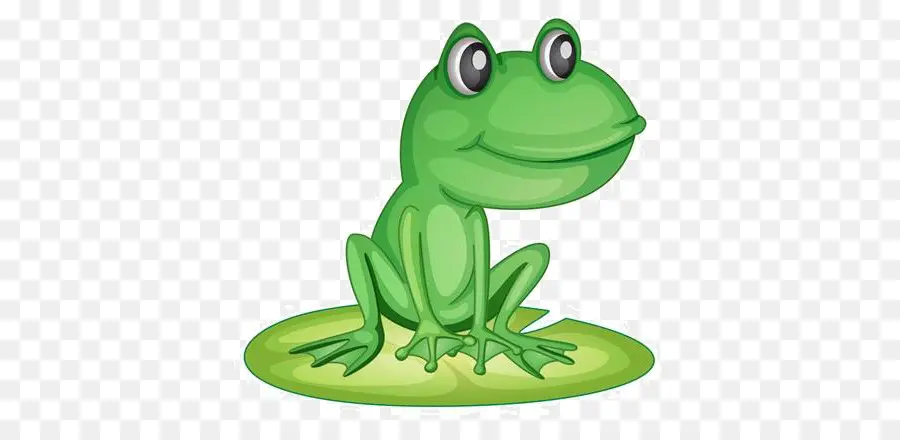 Grenouille，Nénuphar PNG